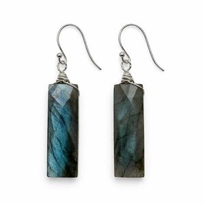 HK32377 Labradorite Rectangle Hook Earrings